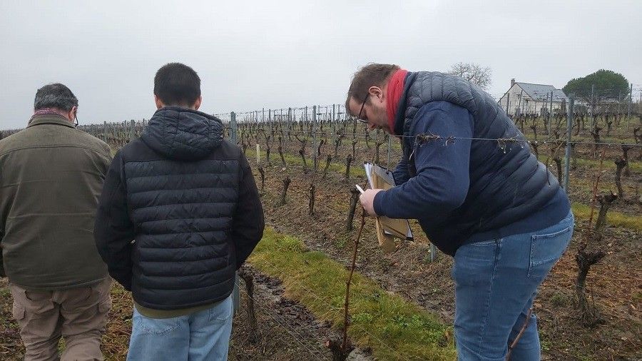 Consultants Agricoles